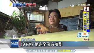 巧！養狗咬人遭勸不理　4天後飼主書局燒光│三立新聞台