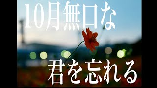 【セクシーお姉さん】10月無口な君を忘れる/ちゃんこむぴ【歌ってみた】