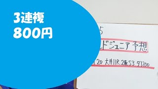 【地方競馬予想】ゴールドジュニア S3(9月20日大井11R 2歳)予想