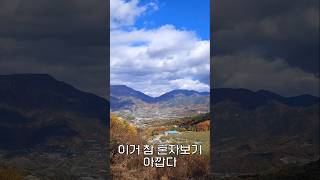 정의송 노래모음-사랑은 무죄