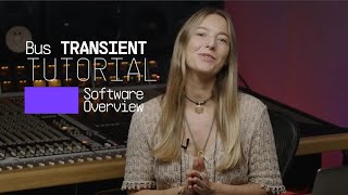 Tutorial | Bus TRANSIENT - Overview