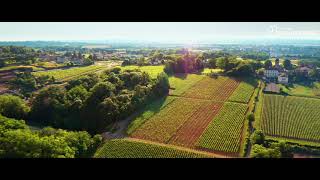 Au Cœur des Terroirs de Mâcon-Charnay-les-Mâcon