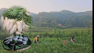 A single mother and her daughter harvested radishes to sell at the market to make black sesame cakes