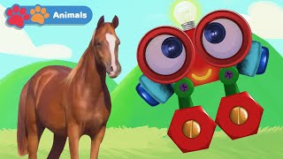 Toddlers Learn Animals with Robi | Educational Early Learning Videos for Baby Brain Development