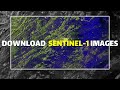 How to download Sentinel-1 images