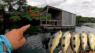 Nesta casa flutuante só tem Peixe grande, Acampamento com pescaria!