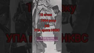 18 січня 1944 — на Волині відбулися перші серйозні сутички УКРАЇНСЬКОЇ ПОВСТАНСЬКОЇ АРМІЇ з НКВС!