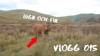 Tjuren blev arg | Vlogg 015