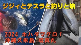 沖縄 久米島 キハダマグロ