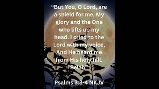 The Lord our shield 🛡️. Psalms 3:3-4