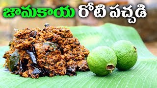 Jamakaya Roti Pachadi | Guava Pickle Making At Home | Village Style Recipe | ABN Indian Kitchen