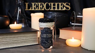 Jar of Leeches : DIY Prop : Halloween Prop Potion Bottle : Potion Ingredient : Harry Potter Inspired