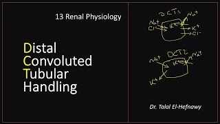 13 Renal Physiology - DCT handling