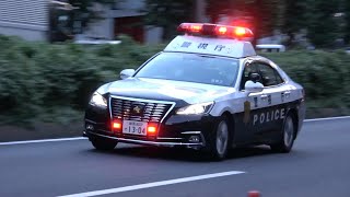 矢印信号にダマされた違反車30連発！！！信号無視を現認した瞬間、白バイ・覆面・パトカーが怒涛の緊急走行で取締る瞬間！！！