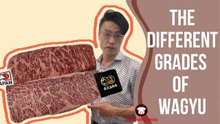WHAT DO A5 WAGYU REALLY MEANS? | The difference grades of Japanese wagyu.