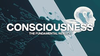 Consciousness: The Fundamental Reality