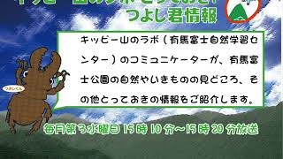 キッピー山のラボ とっておき！つよし君情報「キッピ―山の夏の虫（クワガタ）と夏企画のご紹介」平成30年7月18日放送分