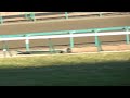 【2013.12.22】中山１０r　第５８回有馬記念（ＧＩ）本馬場入場