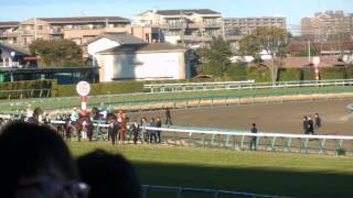 【2013.12.22】中山１０R　第５８回有馬記念（ＧＩ）本馬場入場