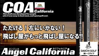 第一ゴルフ カリフォルニア 試打