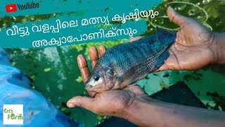 Farm Hunting EP 02 | വീട്ടു വളപ്പിലെ മത്സ്യ കൃഷിയും അക്വാപോണിക്സും | Fish farm \u0026 Aquaponics