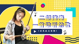 二胡|erhu|《看我跃马扬鞭》|《西游记续集》插曲，任它长路漫漫，看我跃马扬鞭|中国民乐|Chinese folk music