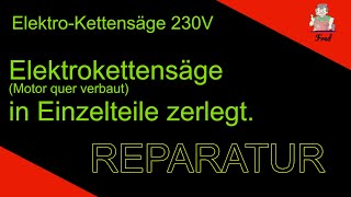 Elektrokettensäge 230V reparieren - komplette Demontage