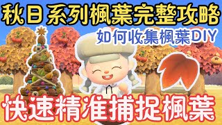 【Anny動森攻略】10日限定!!! 快速精準捕捉楓葉 | 楓葉系列完整攻略 | 秋日三部曲 | 如何收集楓葉DIY【動物森友會】遊戲攻略