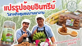 เกษตรอุดรออนทัวร์ EP.201 แปรรูปอ้อยอินทรีย์ วิสาหกิจชุมชนบ้านนางาม อำเภอศรีธาตุ จ.อุดรธานี