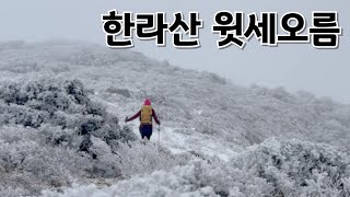 한라산 윗세오름의 설국산행 | 겨울 눈꽃산행의 끝판왕 | 지금 제주도 한라산 윗세오름으로 올라봅니다.