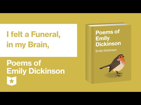 What does the poem I felt a funeral in my brain mean?