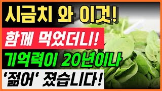 요즘 자꾸 깜빡깜빡? 시금치로 기억력이 20년 젊어졌습니다! 🥬 2025년 건강다이어트 비법! 시력-관절까지 덤으로 좋아지는 황금 레시피 5가지 공개!