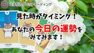 見た時がタイミング！あなたの今日の運勢✨