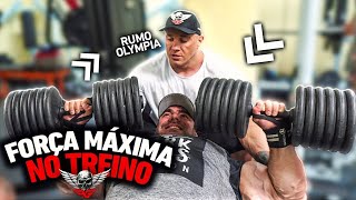 Fabio Giga pro Rmo Olympia Gym Gym*motivation 💪😱🙂