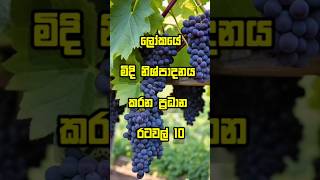 ලෝකයේ මිදි නිශ්පාදනය කරන ප්‍රධාන රටවල් 10 #srilanka #vishwayecharika