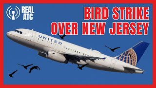 BIRD STRIKE Over New Jersey - Live ATC of United Flight 2053 Returning to Newark