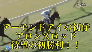 2/8 東京6R 3歳未勝利 レース結果【アロンズロッド】