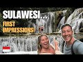 First Impressions of Sulawesi (Exploring a new island in Indonesia)