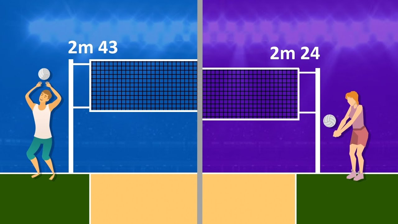 Basic Volleyball Rules