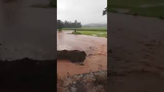 पहिल्याच पावसातं पुलाची अवस्था../ heavy rain in kolhapur #marathimaltimidia #kolhapur