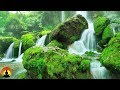 3 Hour Brain Power Study Music Nature Sounds Focus Music Studying Music Work Music ✿2620c