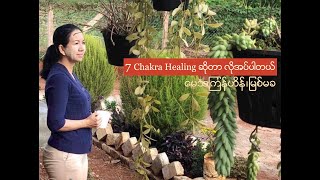 7 Chakras Healing (7 in 1 တရာထိုင်၍ မန္တရွတ်ခြင်းအသံဖိုင်)