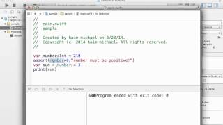 Creating Assertions in Swift