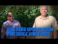 2021 Vintage update with Josh and Gustavo at Pine Ridge Vineyards