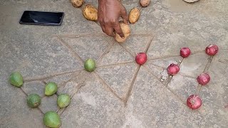 Havri Potato Onion Game