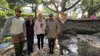 Benthic Macroinvertebrate Creek Sampling for Indicating Ecosystem Health