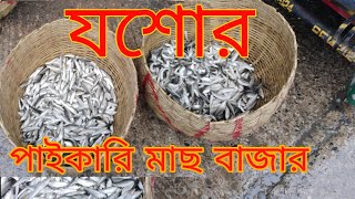 যশোর পাইকারি মাছ বাজার।।Jessore Wholesale Fish Market