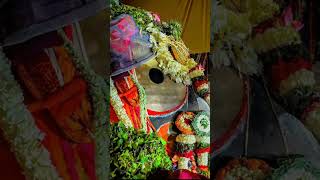 ତୁ ଭାଗ୍ୟବତୀ ଆଲୋ କଳା ତୁଳସୀ jayjagannath odia bhajan⭕‼️⭕🙏🙏