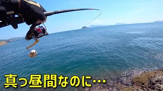 接岸した小魚の群れを追って意外な魚が昼間から連発した！【五島列島】