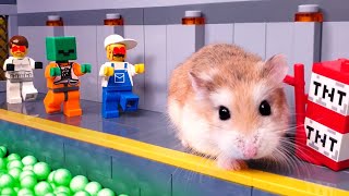 MAJOR HAMSTER vs EVIL FORCES - FULL STORY with real life pets